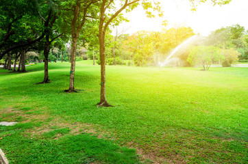 green grass field in big city park