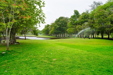 Obraz premium green grass field in big city park