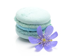 blue macarons isolated on white background