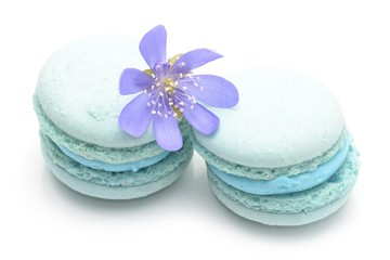 Obraz na płótnie Canvas blue macarons isolated on white background
