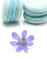 blue macarons isolated on white background