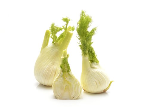 Fresh fennel bulb isolated on white background
