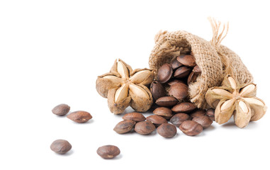dried capsule seeds fruit of sacha-Inchi peanut isoalted