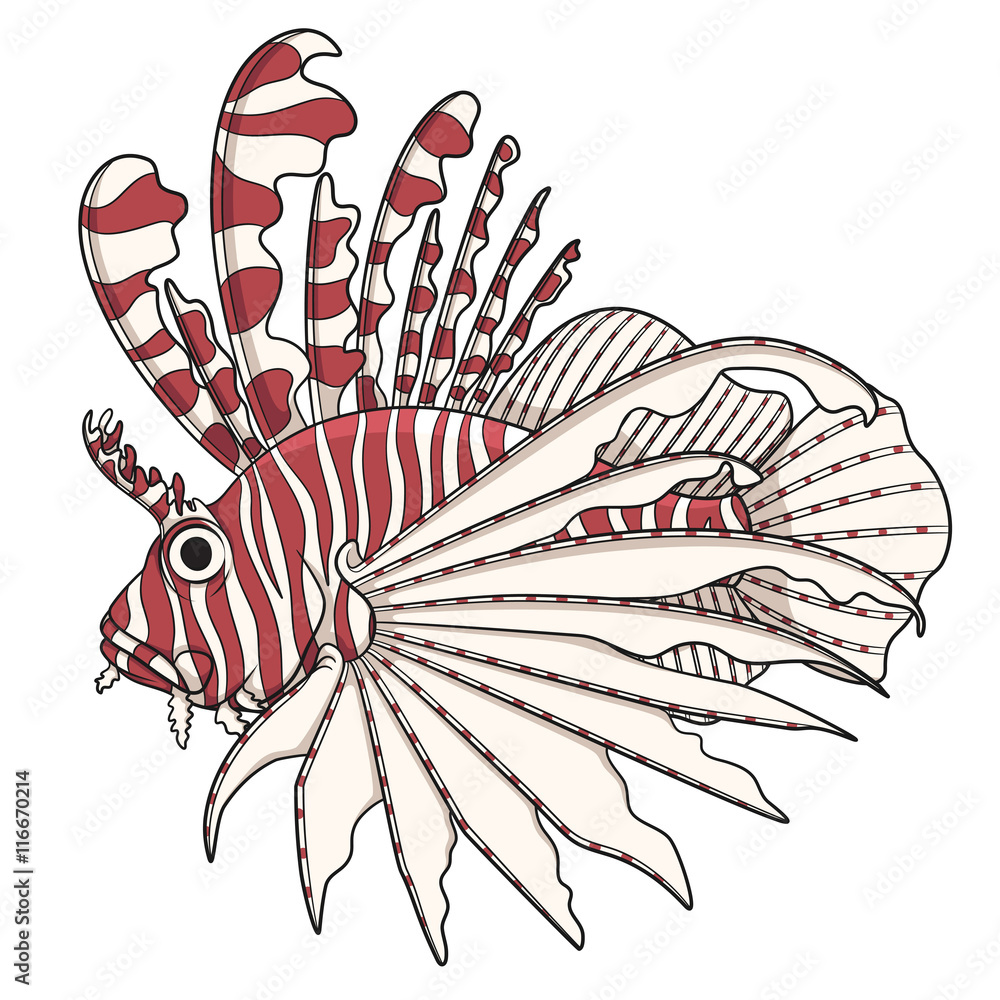 Aufkleber color image lionfish. vector objects on a white background.