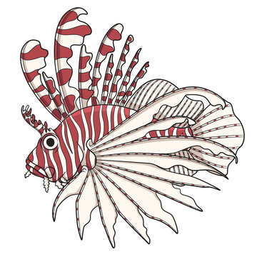 recommend clip art: Color image lionfish. Vector objects on a white background.