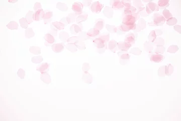 Rolgordijnen Kersenbloesemblaadjes © sakura