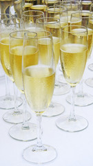 Several white champagne glasses.