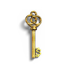 Dollar shape golden treasure key