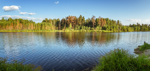 панорама летнего пейзажа соснового леса на берегу озера, Россия, Урал © 7ynp100