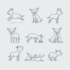 Cute dog doodle line icons. Little dog in different poses vector illustration