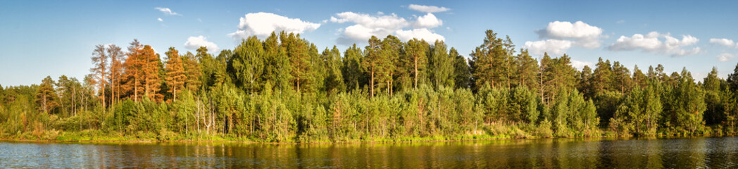 панорама летнего пейзажа соснового леса на берегу озера, Россия, Урал © 7ynp100
