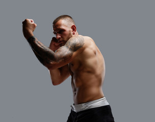Tattooed fighter isolated on a grey background.