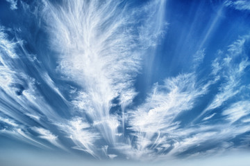 Daytime sky with stratus clouds - obrazy, fototapety, plakaty