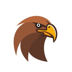 Head of an eagle illustration vector