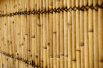 Bamboo fence
