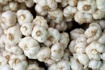 White Garlic, herbs and spices in Thailand.