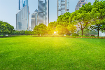 green lawn with city skyline background,shanghai china.