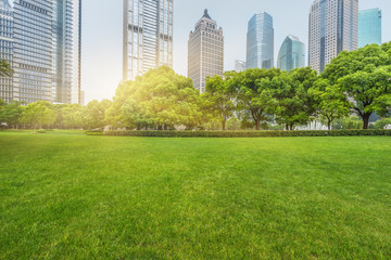 Obraz premium green lawn with city skyline background,shanghai china.