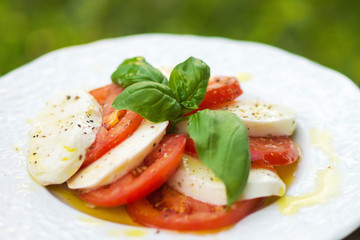 Classic Caprese Salad with Mozzarella Cheese, Tomatoes and Basil