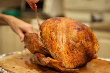 Thanksgiving Turkey