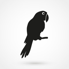 parrot icon