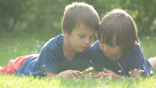 Beautiful happy children, boy brothers, exploring nature with magnifying glass, summertime