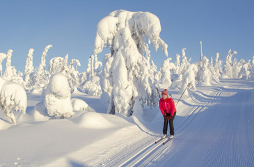 Woman cross country skiing in Lapland Finland