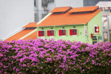 Fototapeta na wymiar Usual old-fashioned architecture in Singapore