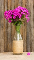 bouquet of phlox flowers in a glass bottle on the background of old barn boards. selective focus