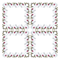 Beautiful flower background from the isolated branches of a white orchid 