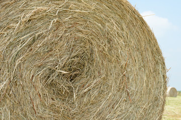 stubble field with hay bales