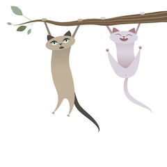 Funny cats hanging from tree branch