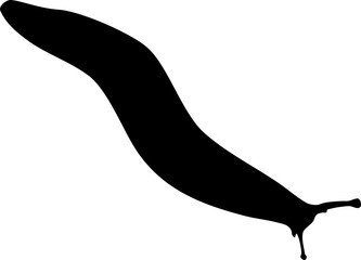 Silhouette of slug