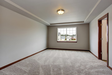 Empty basement room with white walls, carpet floor and one window.