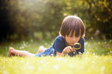 Beautiful happy child, boy, exploring nature with magnifying gla