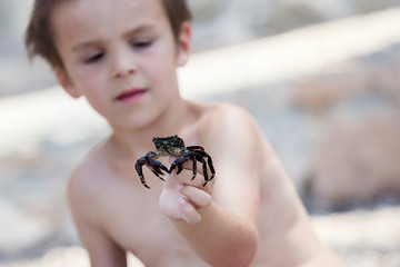 Cute boy, playing with little crab on the beach