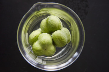 Fresh rubber seeds in a glass beaker.

