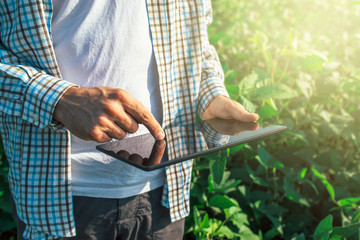 Farmer using digital tablet computer in cultivated soybean crops - Powered by Adobe