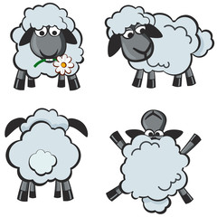 Nice set of cartoon sheeps