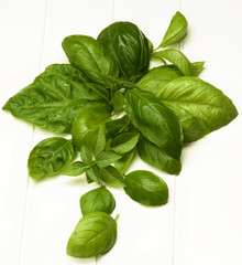 Fresh Basil Leafs