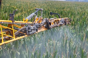 Corn Spraying