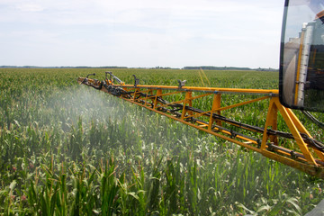 Corn Spraying