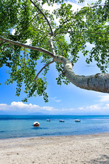 Greek beach on the island of Corfu Kerkyra in the mediterranean