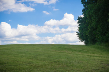 Obraz premium immaculate nature