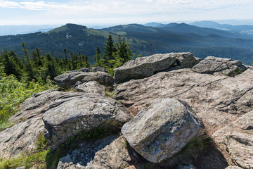 Bayerischer Wald