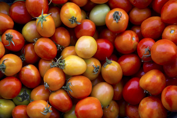 photo of very fresh tomatoes presented , colorful tomatoes