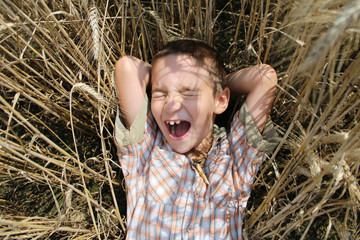 Naklejka na ściany i meble boy lies in wheat field in the summer