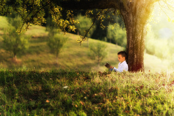  boy reading a book under a tree