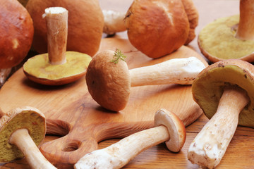 Mushroom boletus on cutting board