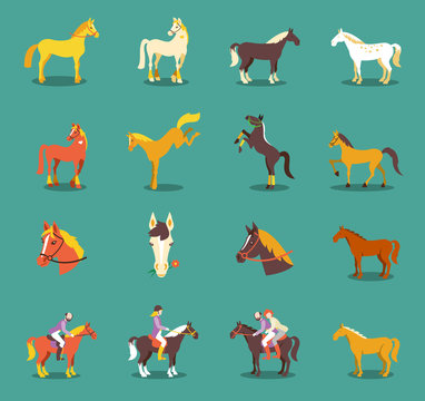 Group of the horses isolated on the blue background.